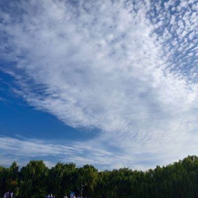 侠客风云传online小米客户端下载