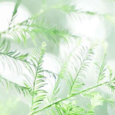 武动六界应用宝下载