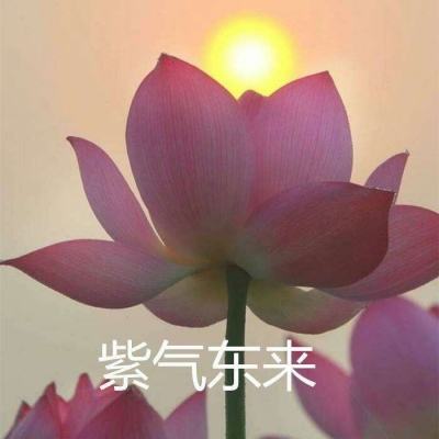 仙侠蜀山传游戏下载